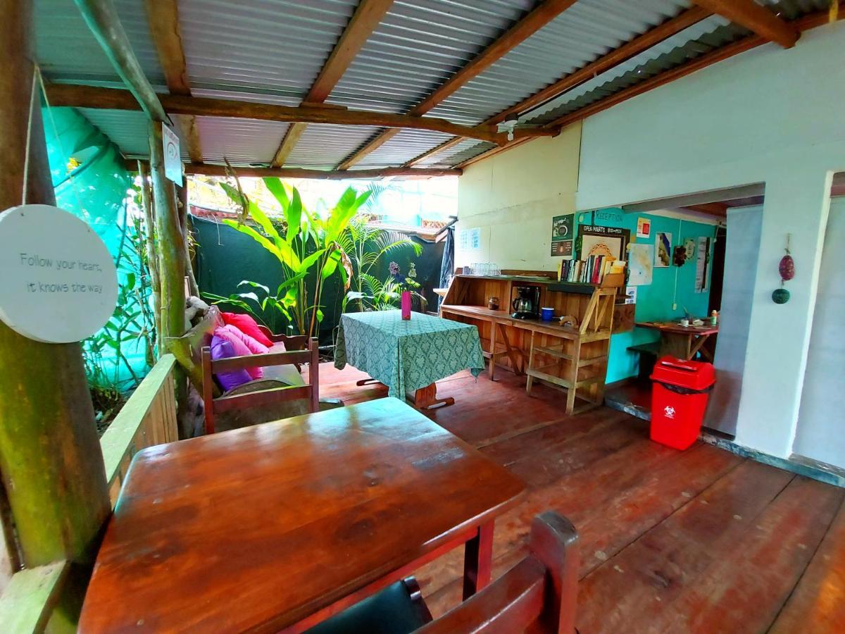Cabinas Tortuguero Exterior foto