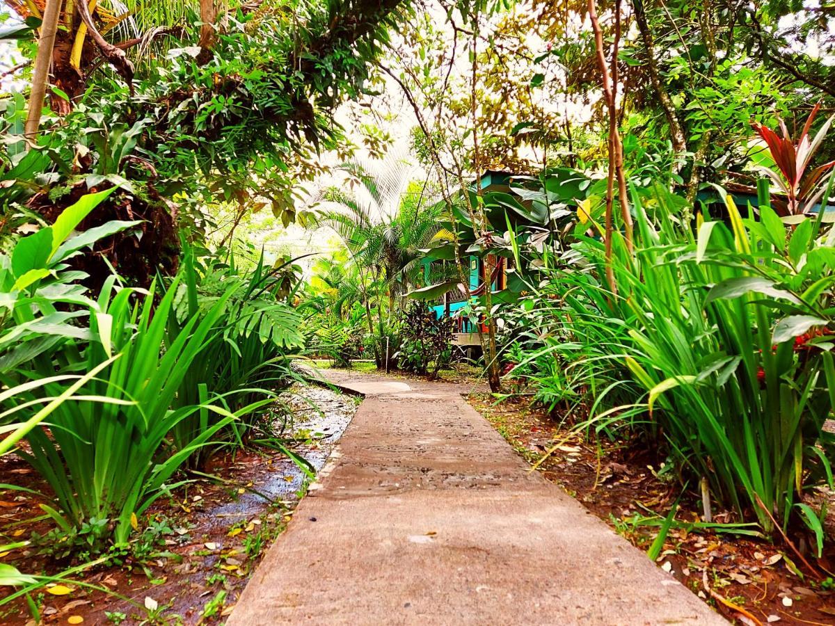 Cabinas Tortuguero Exterior foto