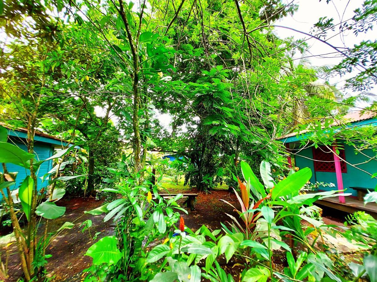 Cabinas Tortuguero Exterior foto
