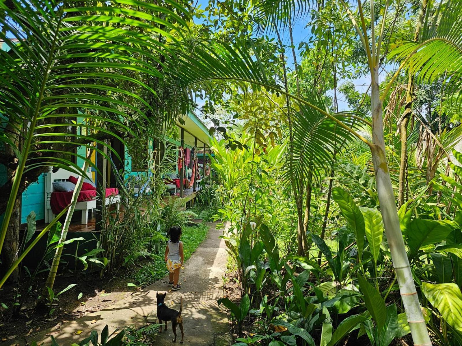 Cabinas Tortuguero Exterior foto