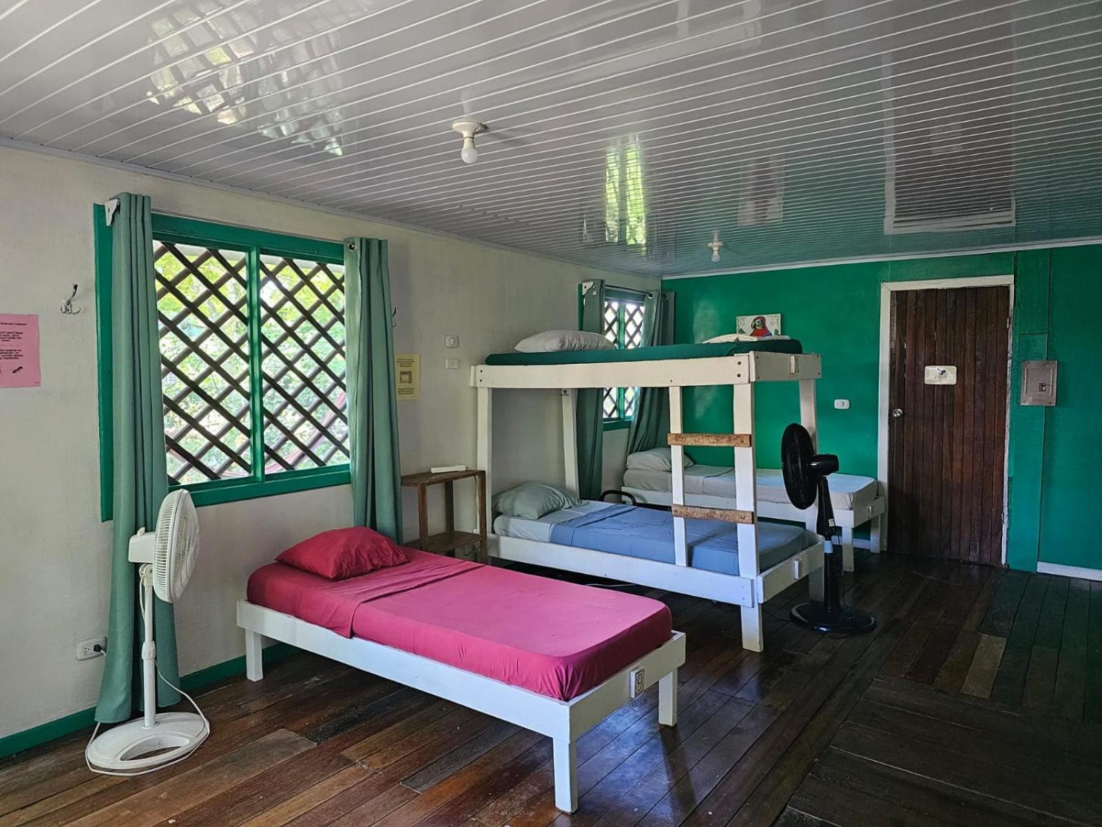 Cabinas Tortuguero Exterior foto