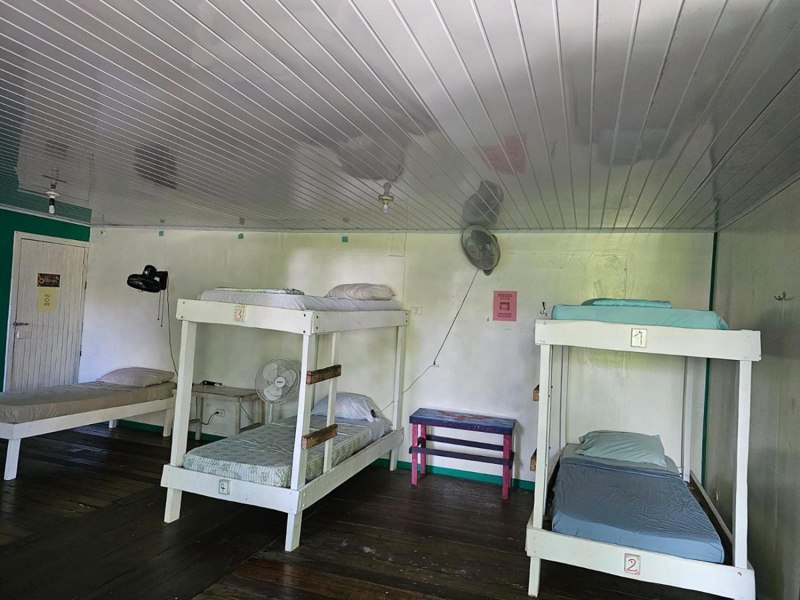 Cabinas Tortuguero Exterior foto