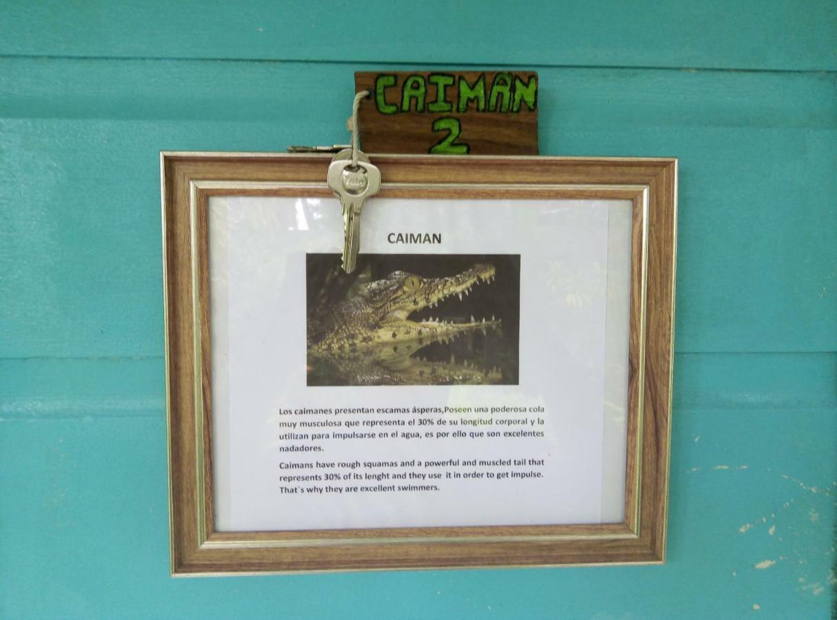 Cabinas Tortuguero Exterior foto